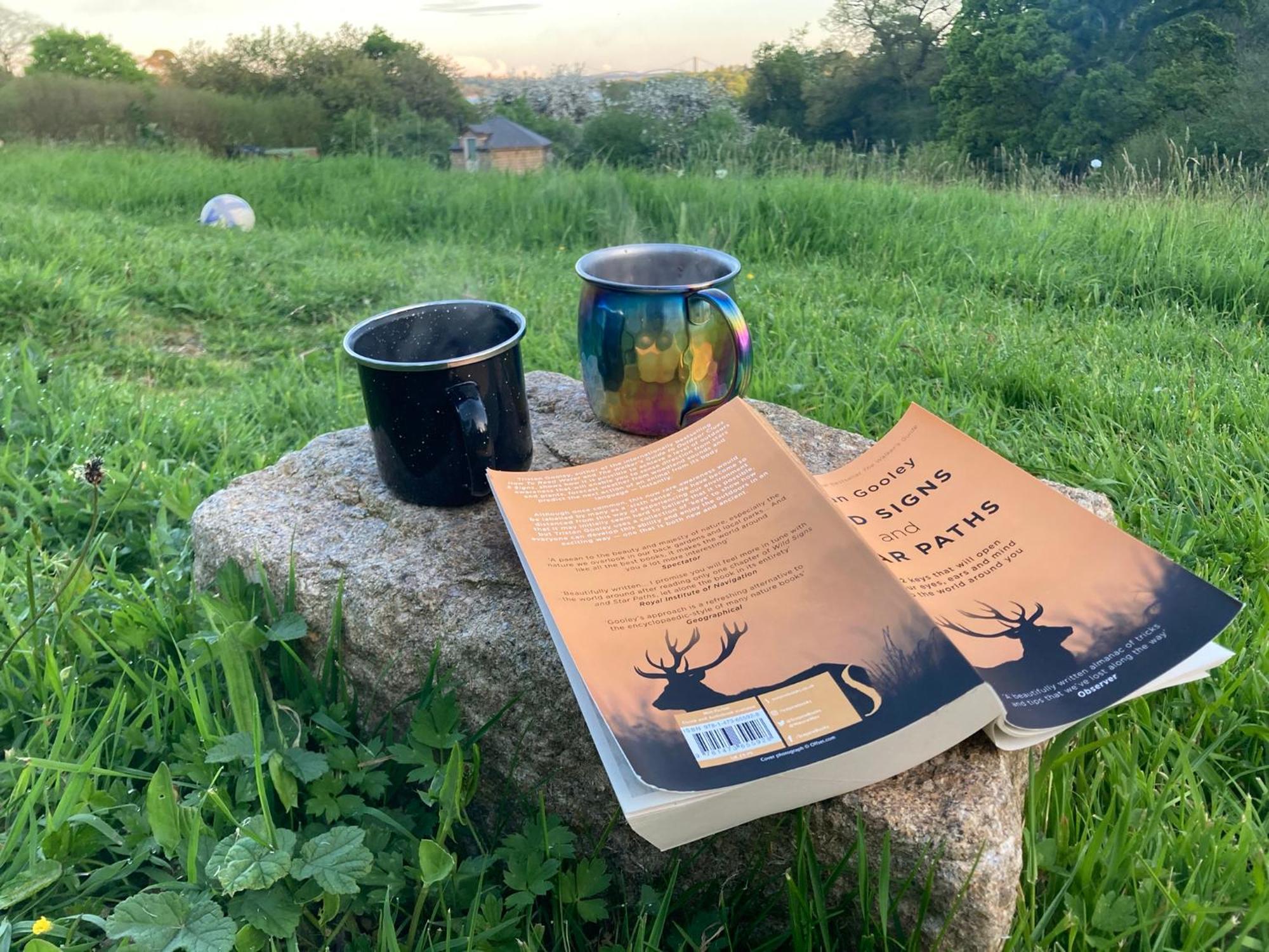 Campo de lujo Lower Marsh Farm Glamping *